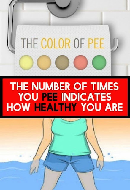 The Number Of Times You Pee Indicates How Healthy You Are