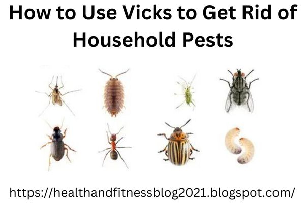 How to Use Vicks to Get Rid of Household Pests