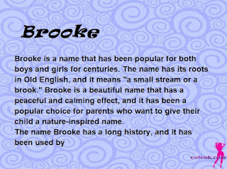 meaning of the name "Brooke"