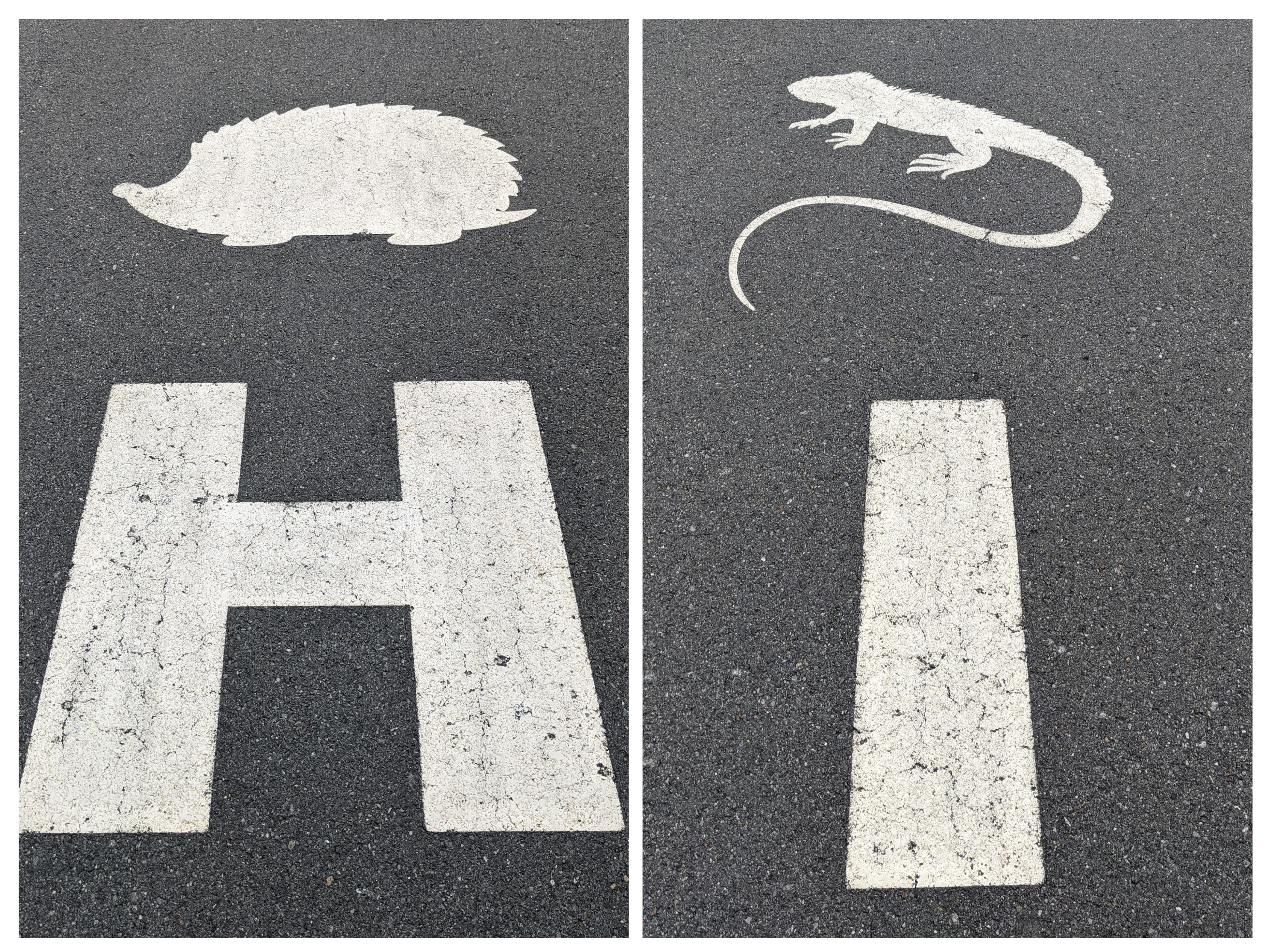 Collage of 'H' and 'I' car parking row sign with appropriate animal symbols
