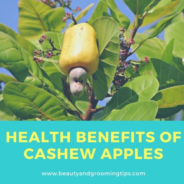 health benefits of cashew apples or cashew fruits