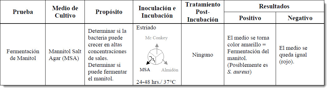 Fermentación del manitol