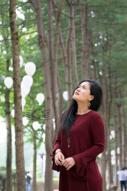 Nami Island Garden of Morning Calm South Korea