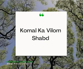 Komal Ka Vilom Shabd