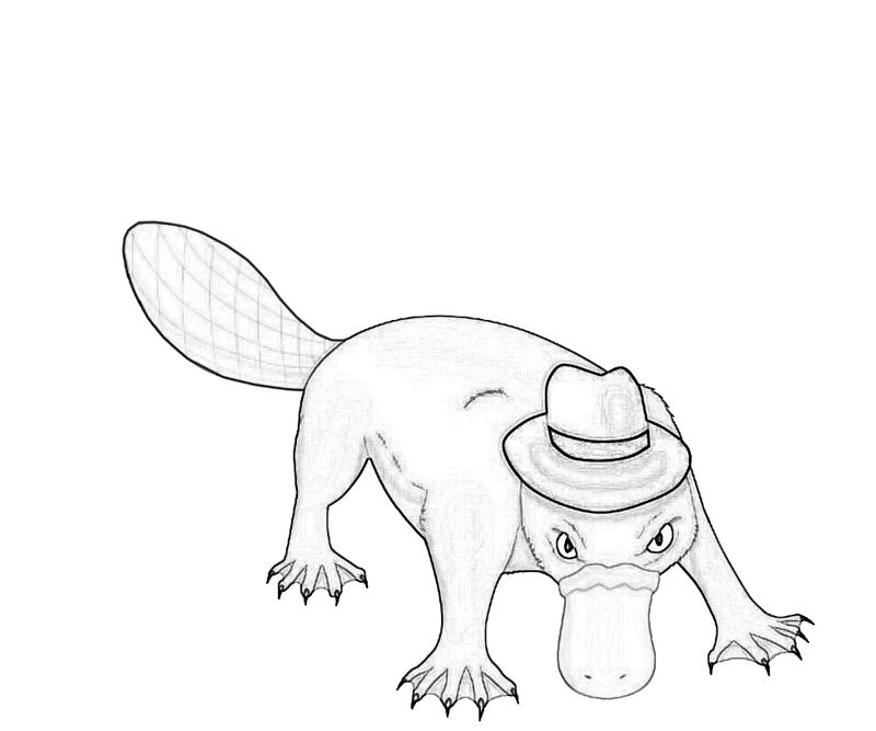 Platypus Coloring Page