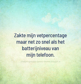 plaatjes met nederlandse quotes