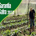 GOVERNO AUTORIZA PAGAMENTO DO GARANTIA-SAFRA PARA AGRICULTORES DE 38 MUNICÍPIOS NO RN