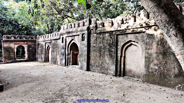 Kali Gumti at Hauz Khash