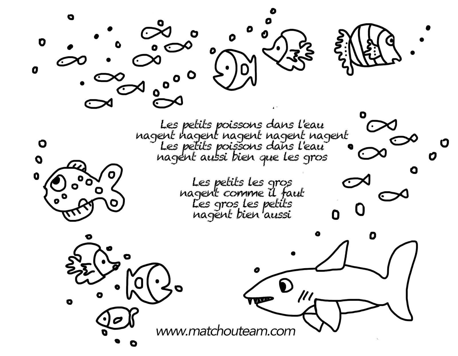 Les petits poissons dans l eau