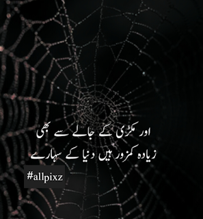 poetry in urdu 2 lines