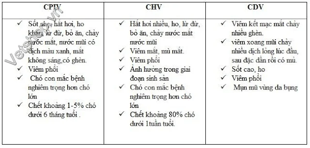 Bảng 1: So sánh các triệu chứng do PCIV và các bệnh khác