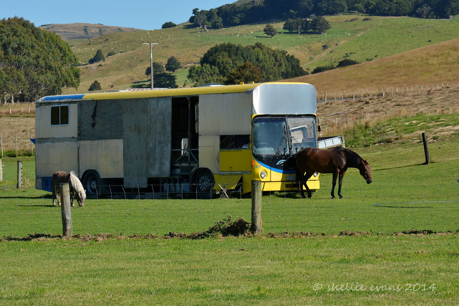 Catlins Appaloosa Kontras enagerie 2 PDF Epub-Ebook