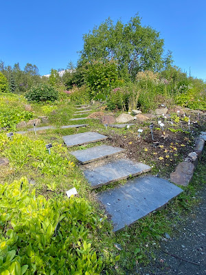 stone steps at the Arctic Alpine Botanical Gardens in Tromso, Norway