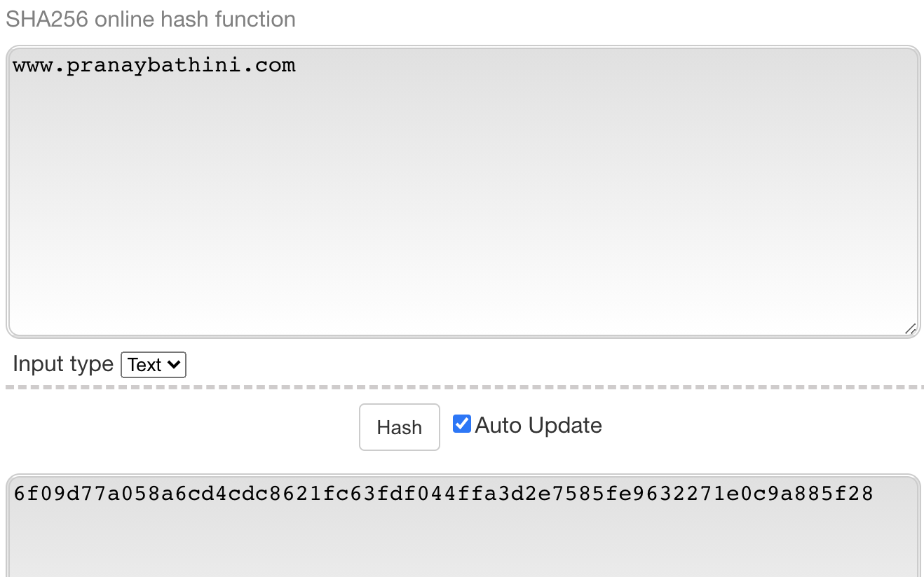 SHA256 Online Hash Generator