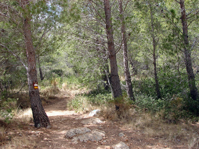 Senderismo Puig Campana PR-CV 289