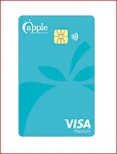 apple federal credit union credit card