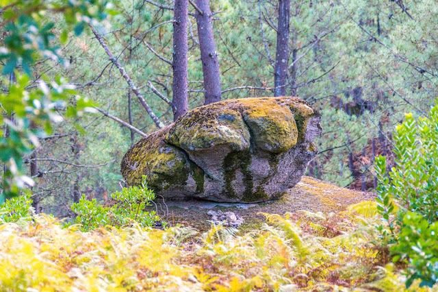 Imagen del Penedo da Tartaruga