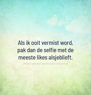 afbeeldingen met nederlandse quotes