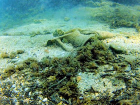 Ancient shipwrecks found off Turkish coast