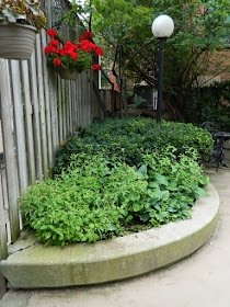 Toronto Downtown Courtyard Cleanup Before by Paul Jung Gardening Services--a Toronto Gardening Services Company