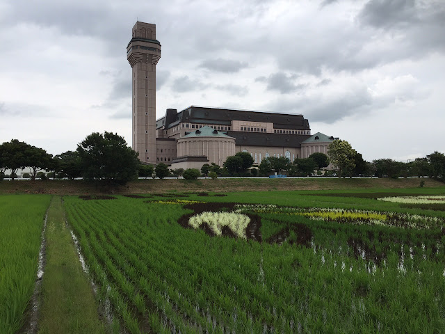 こしがや田んぼアート2015食戟のソーマ（6/30）