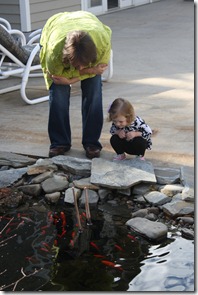 IMG_3075 IMG_3075