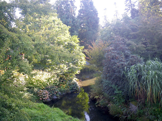 UBC Botanical Garden - landscape close to the main entrance