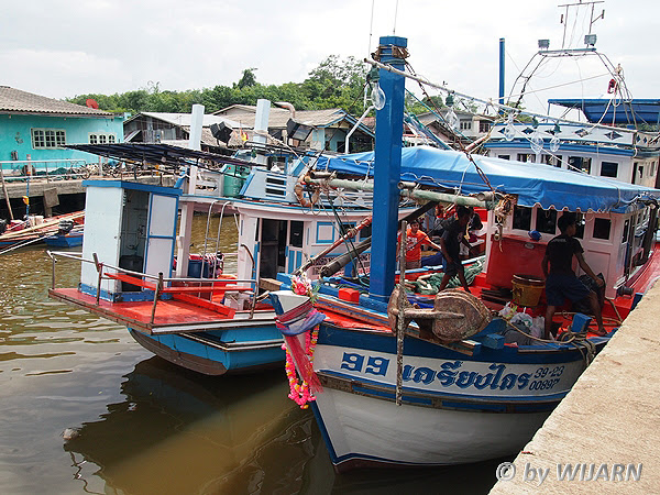 ตกปลาจังหวัดตราด