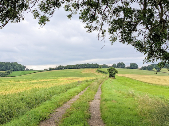 The footpath between points 4 & 5