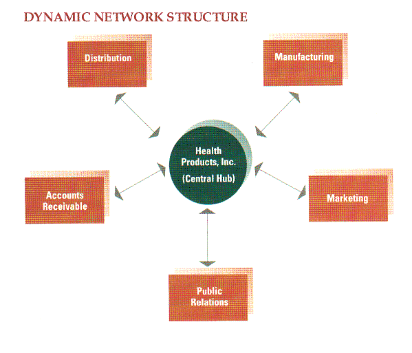 SHAMIKO.blog: 5 Types of Organizational Structures