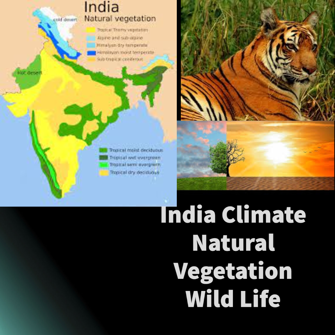 Morescorecbse : class6: India climate, vegetation, wildlife