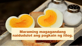   Do you love eating eggs? If yes, then you are blessing your body with a lot of benefits.  Advertisement    According to Natural Food Series, eggs are one of "nature’s true superfoods".    "This nutritionally complete food comes with a complete list of exceptional health benefits," it was disclosed.    Here are some of the wonders that eggs can do to one's health:    1. Egg is a valuable source of choline; which is a macronutrient that is essential for several important physiological functions including neurological development, nerve function, muscle control and metabolism.     2. Egg protects the eyes from age-related degeneration. There are some nutrients that helps bring this degenerative process to a halt and two of those nutrients are lutein and zeaxanthin which are both found in egg yolks. Eating one or two a day will be of great help.    3. Studies showed that people who eat eggs for breakfast consume less calories during the day as they feel more satiated and have higher energy levels to sustain them throughout the day.  Ads     Ads  4. Most anti-cancer diet are rich in fruits, vegetables, and whole grains--but you can increase the effectiveness of your preventative diet by adding eggs on a regular basis. Case studies revealed that the choline found in egg yolks to be associated with a reduced overall risk of breast cancer.     5. Eating eggs consistently leads to elevated levels of HDL or the "good" cholesterol, which is linked to a lower risk of many diseases.    On the other hand, people must still be aware of the possible health risks that are associated with eating eggs.    According to Medical News Today, one must take note that:  Eating raw or undercooked eggs is not recommended. Bacteria can enter the egg through pores in the shells.  Eggs should be avoided if their shells are cracked. Eggs must be shunned if they are past expiration date. Watch this video for additional information about egg consumption:    This article was filed under Health, Health news, Healthy life news, Newshealth, Healthy Living, Health blogs, Health benefits, Food, Drinks, Natural, and Eggs.  