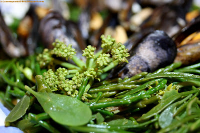 Moules aux saveurs du littoral