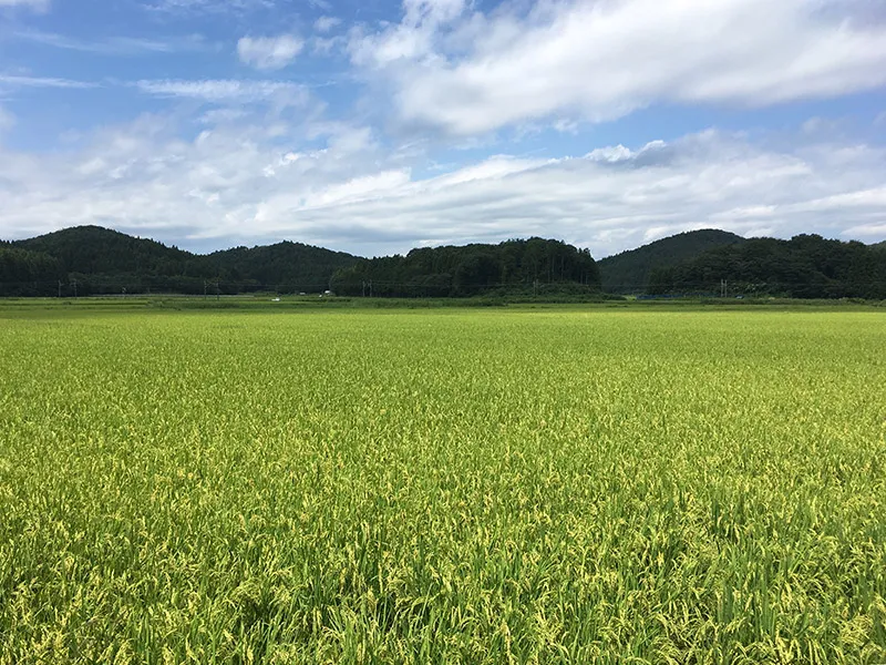 東北本線久田野（くたの）駅前の田園風景