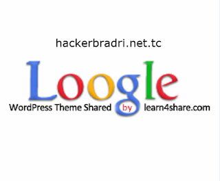 loogle googl.com clone wordpress theme free download hackerbradri.net.tc