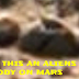 Have Alien Bodies Been Found On Mars