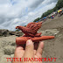 Pipa Rokok KAYU SAWO Ukir Burung Elang 01 by Tutul Handicraft