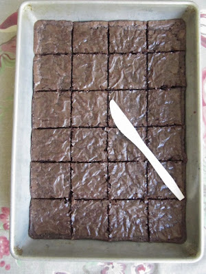 plastic knife for brownies