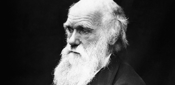 fotografia antiga de charles darwin de perfil com barba branca e longa