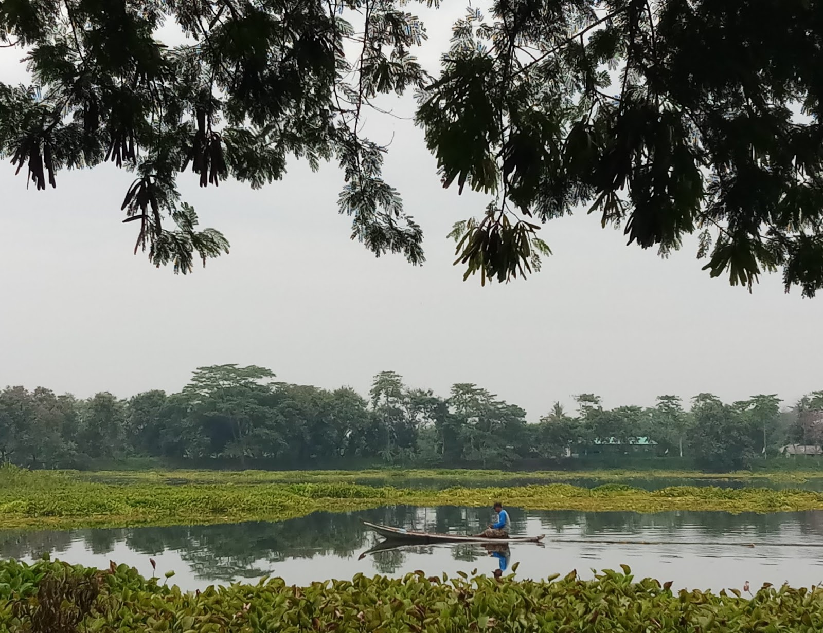 Kebetulan saat itu ada seorang warga setempat yang tengah melaju dengan perahu sampan di permukaan air situ yang tenang dan beberapa bagiannya tertutup