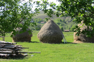 Servië, hooischelven vlakbij camping Viljamovka