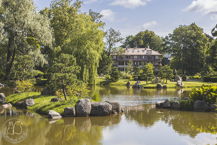 Näkymä Tallinnan Jaapani Aed -japanilaisessa puutarhassa.