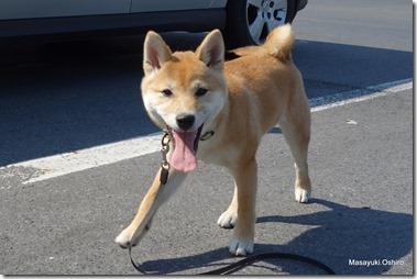 カルフールの駐車場で