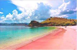 Pulau Komodo