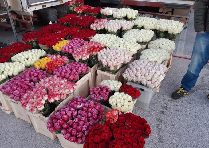 San Valentino, Coldiretti: fiori per salvare 200mila posti di lavoro