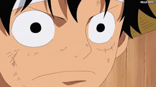 ワンピースアニメ 510話 ルフィ Monkey D. Luffy | ONE PIECE Episode 510