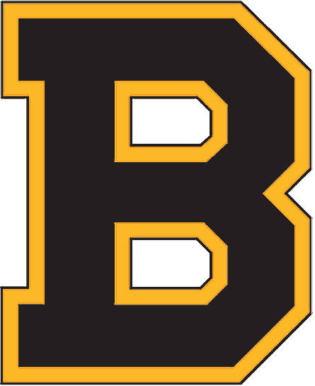 Boston Bruins Logos