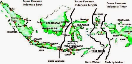 38 Gambar  Peta Persebaran Flora  Dan  Fauna  Berdasarkan 