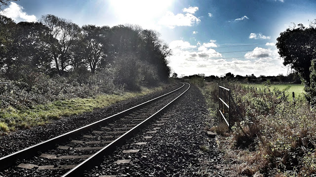 Project 366 2016 day 311 - Railway line walk // 76sunflowers