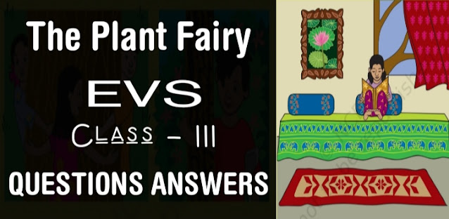The Plant Fairy class 3 EVS chapter 2 Questions Answers